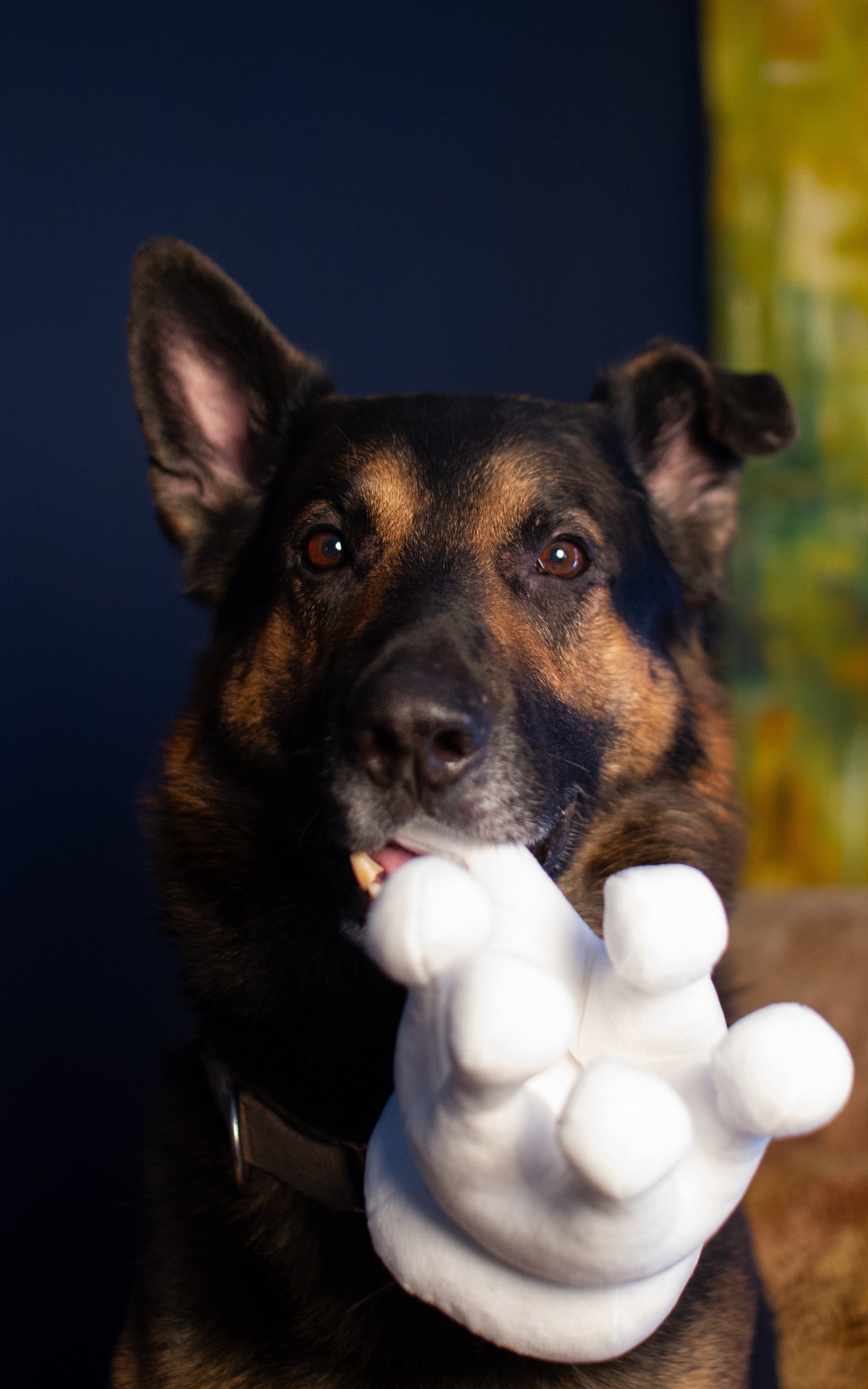 Plush White Queen Toy