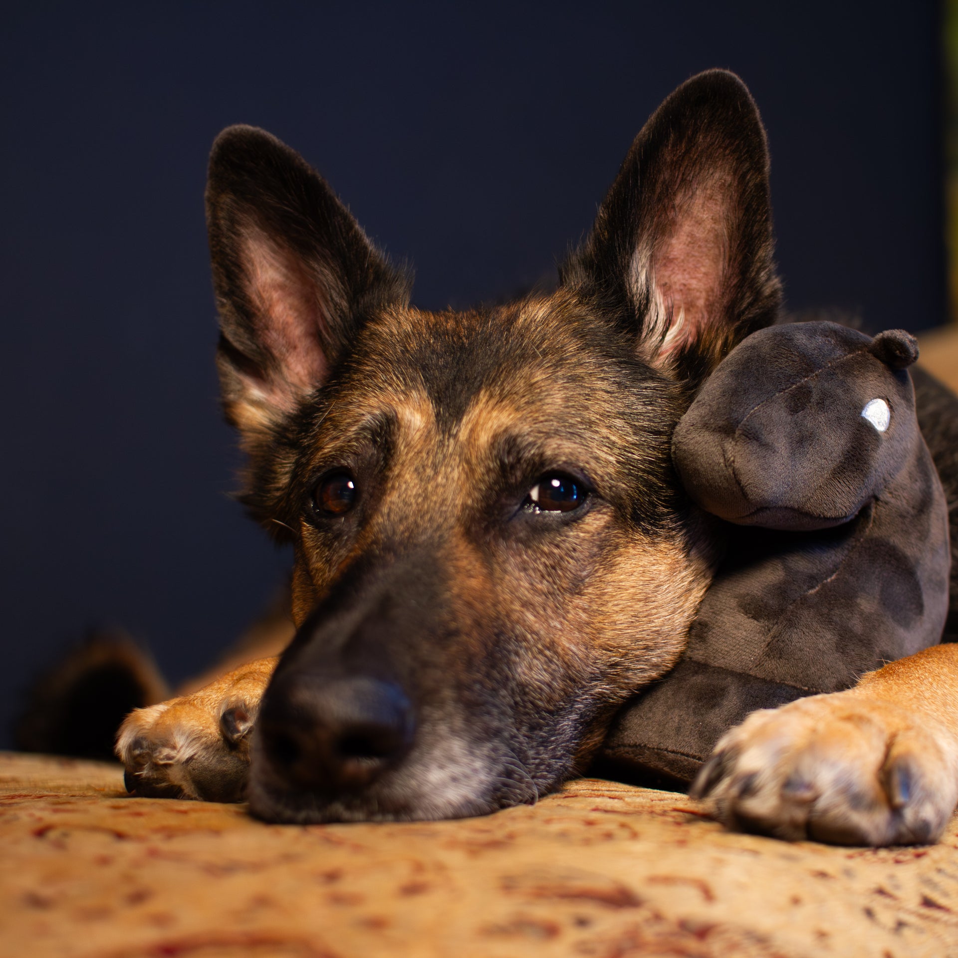 Plush Gray Knight Toy