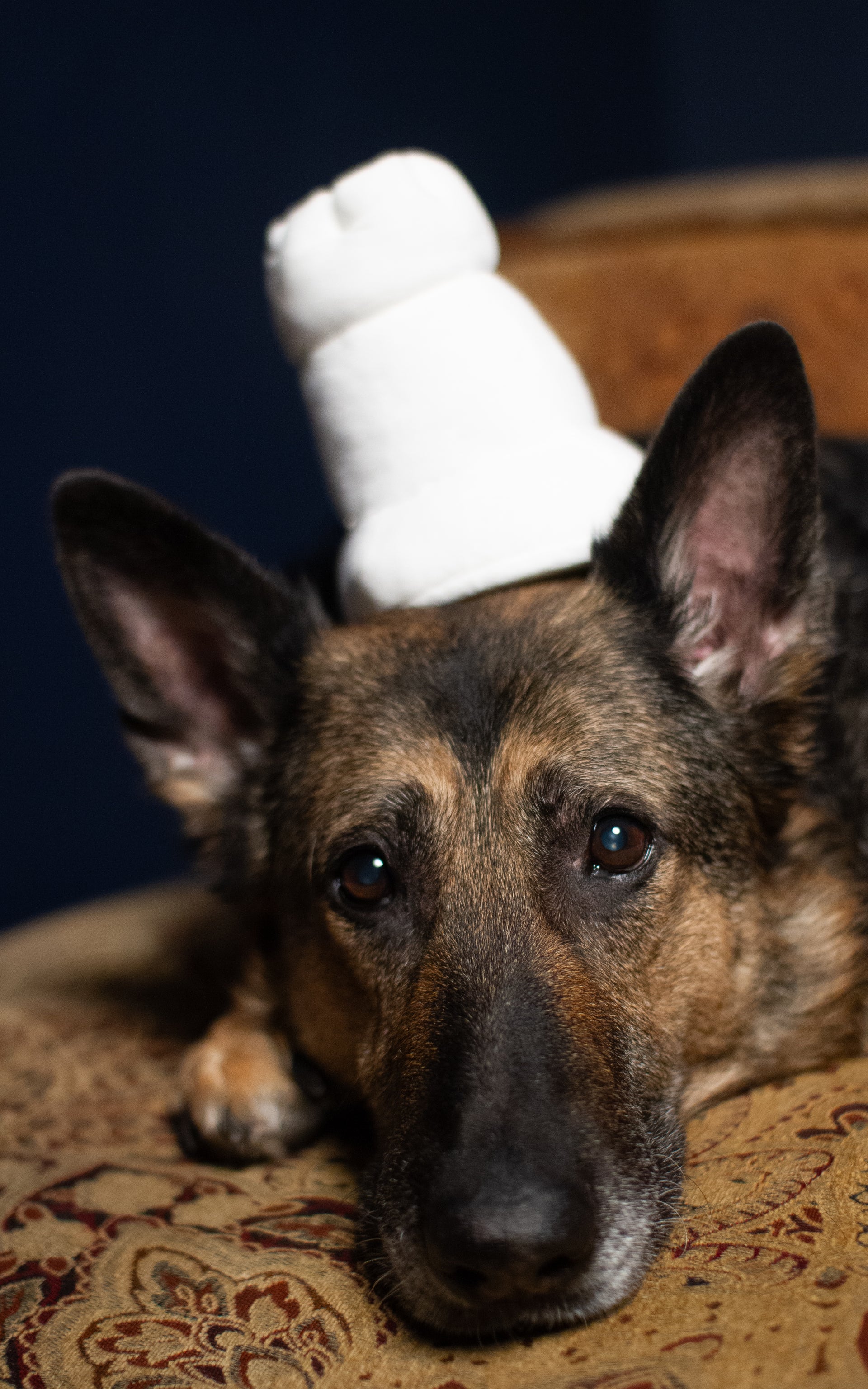 Plush White Rook Toy