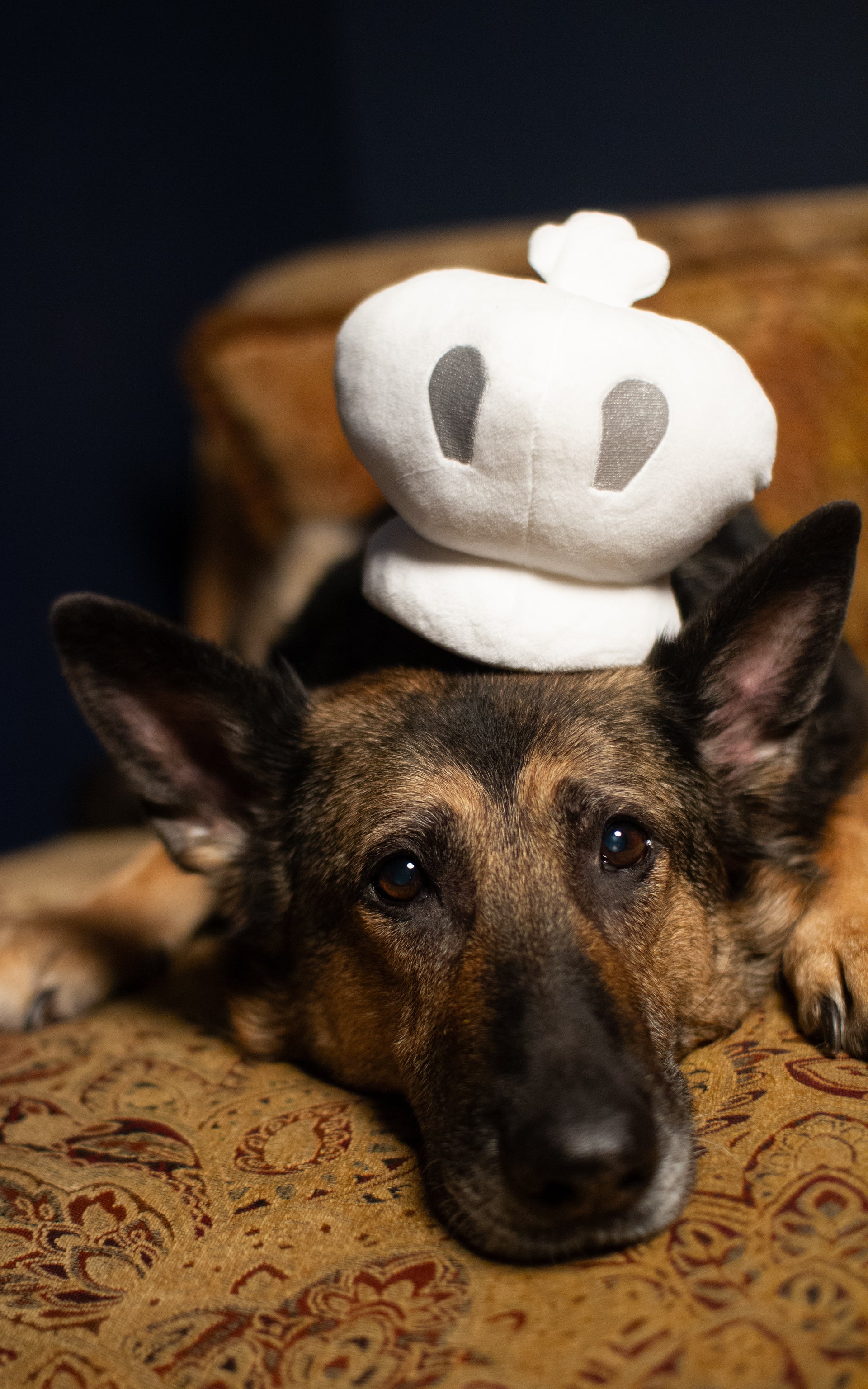 Plush White King Toy