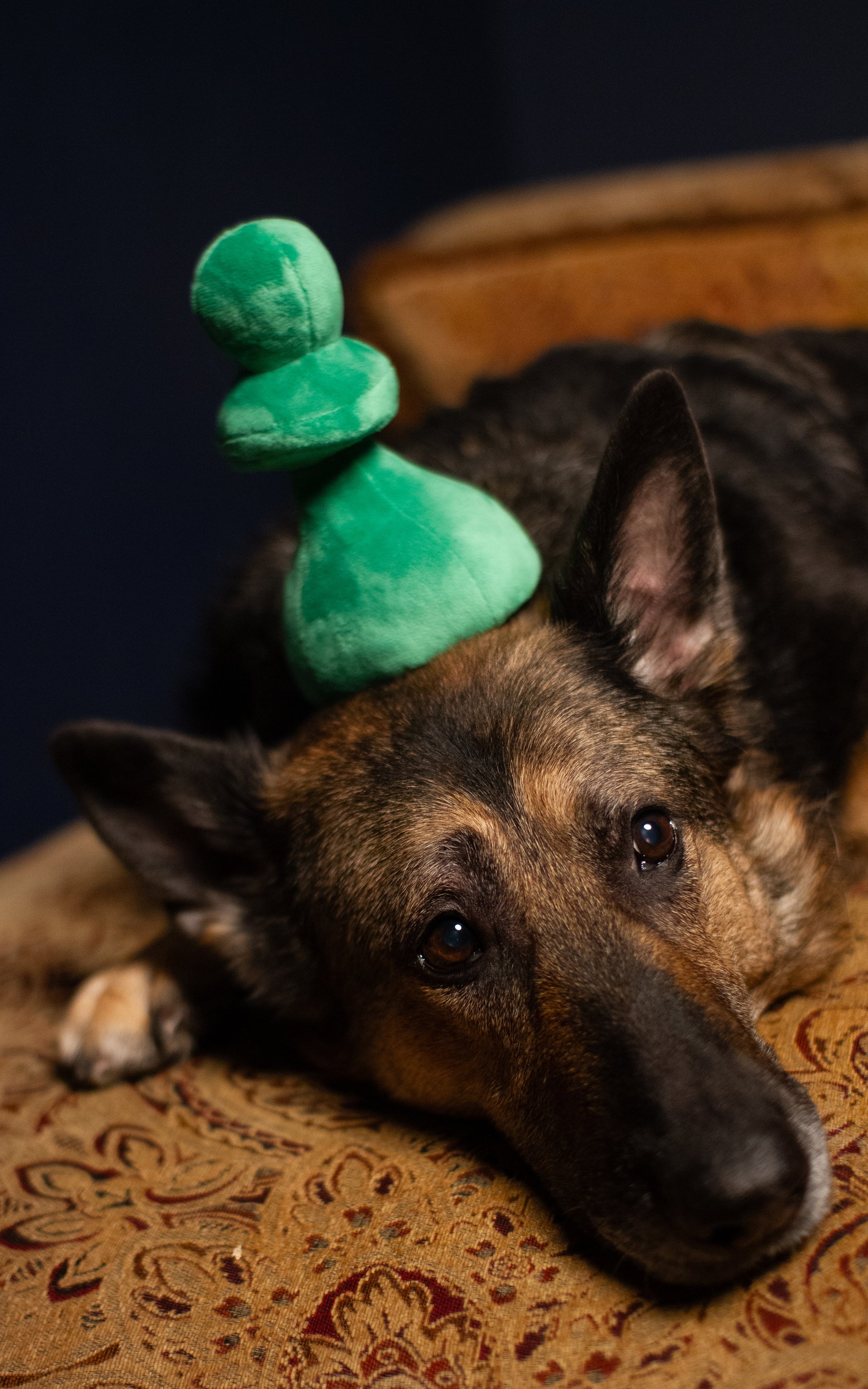 Plush Green Pawn Toy