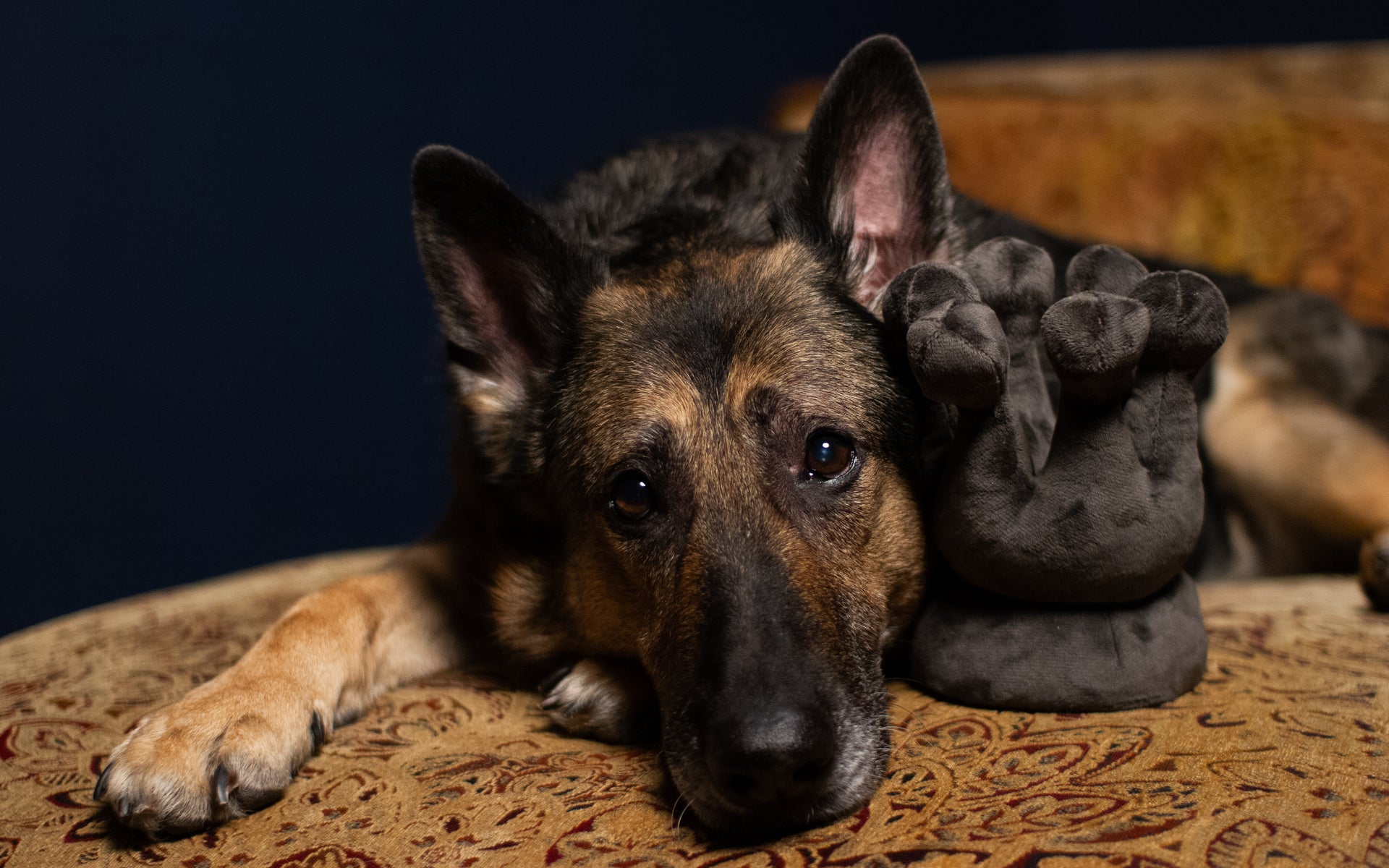 Plush Gray Queen Toy