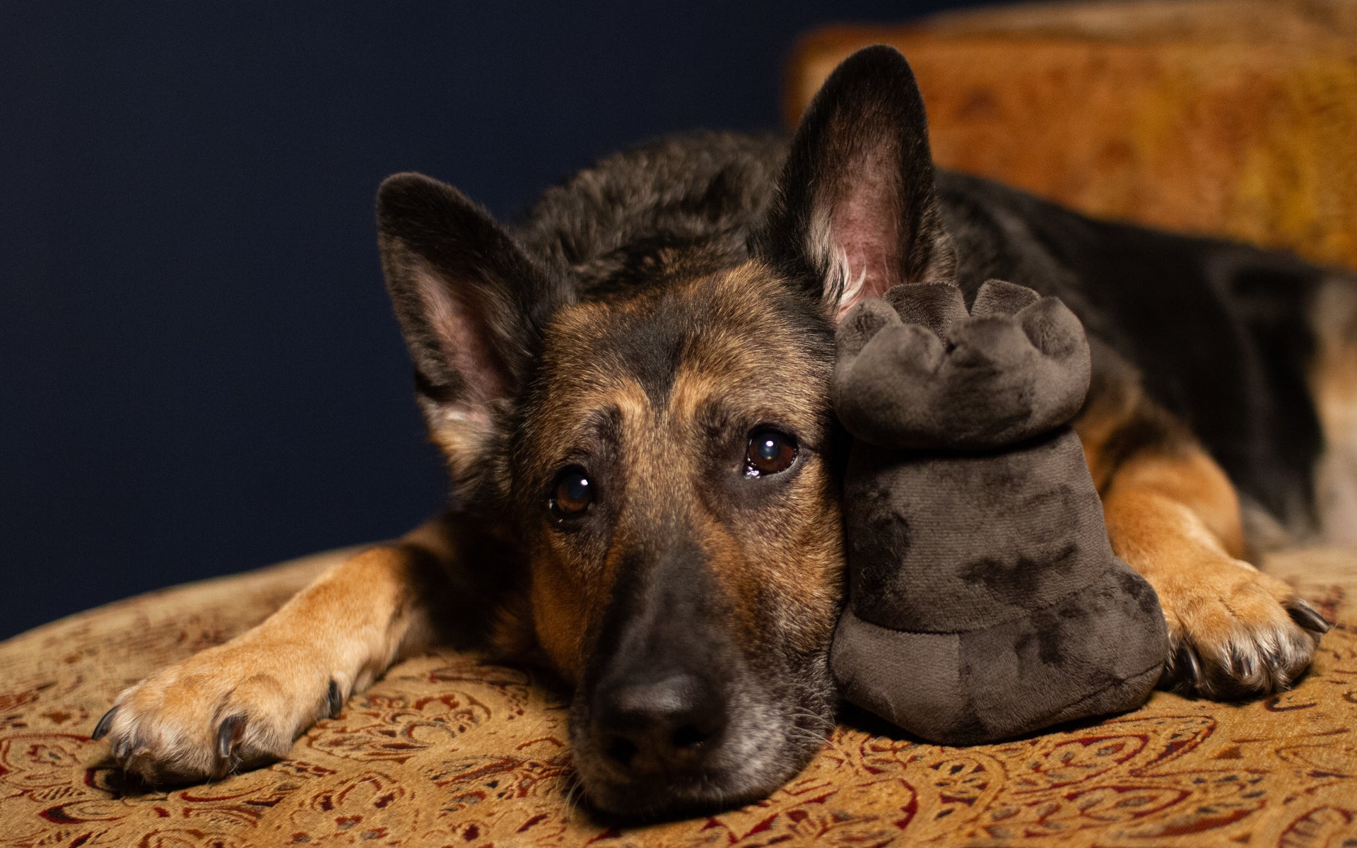 Plush Gray Rook Toy