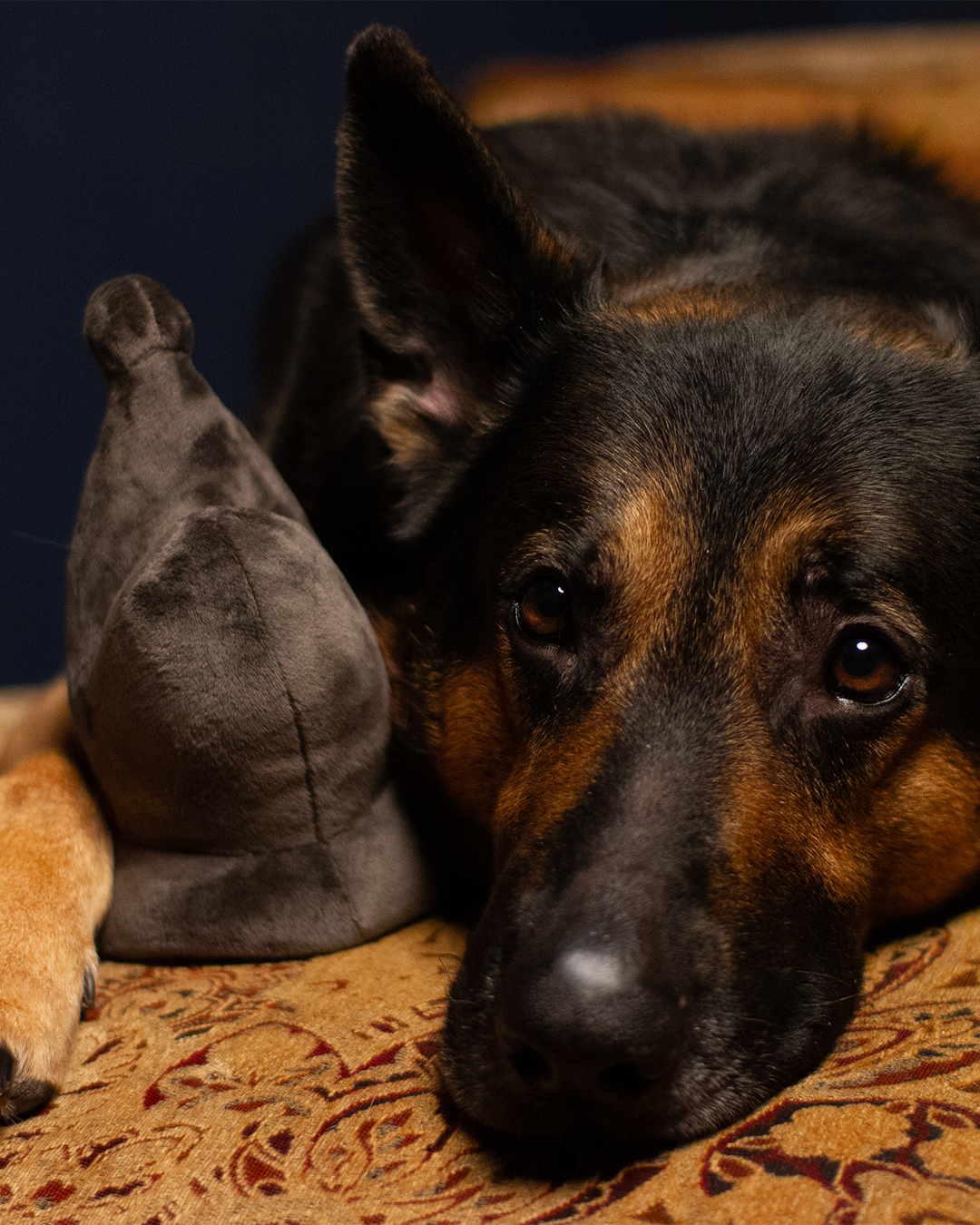 Plush Gray Bishop Toy
