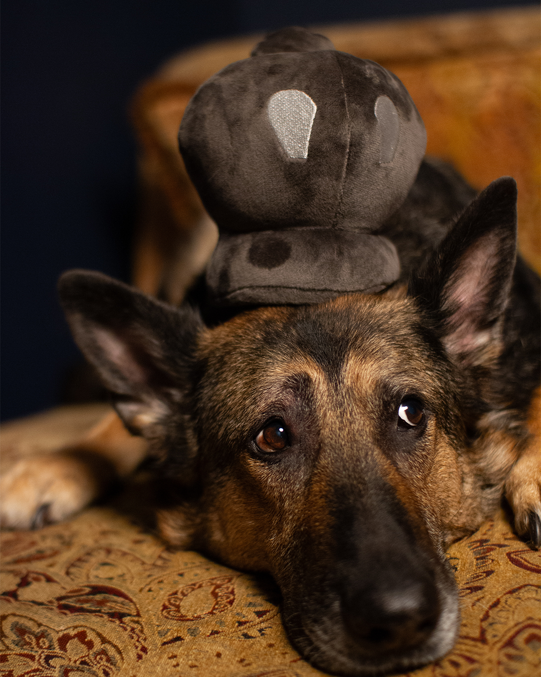 Plush Gray King Toy