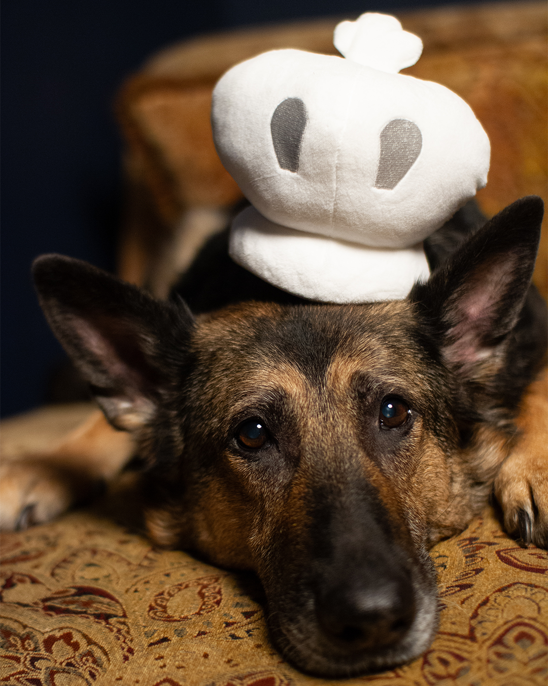 Plush White King Toy