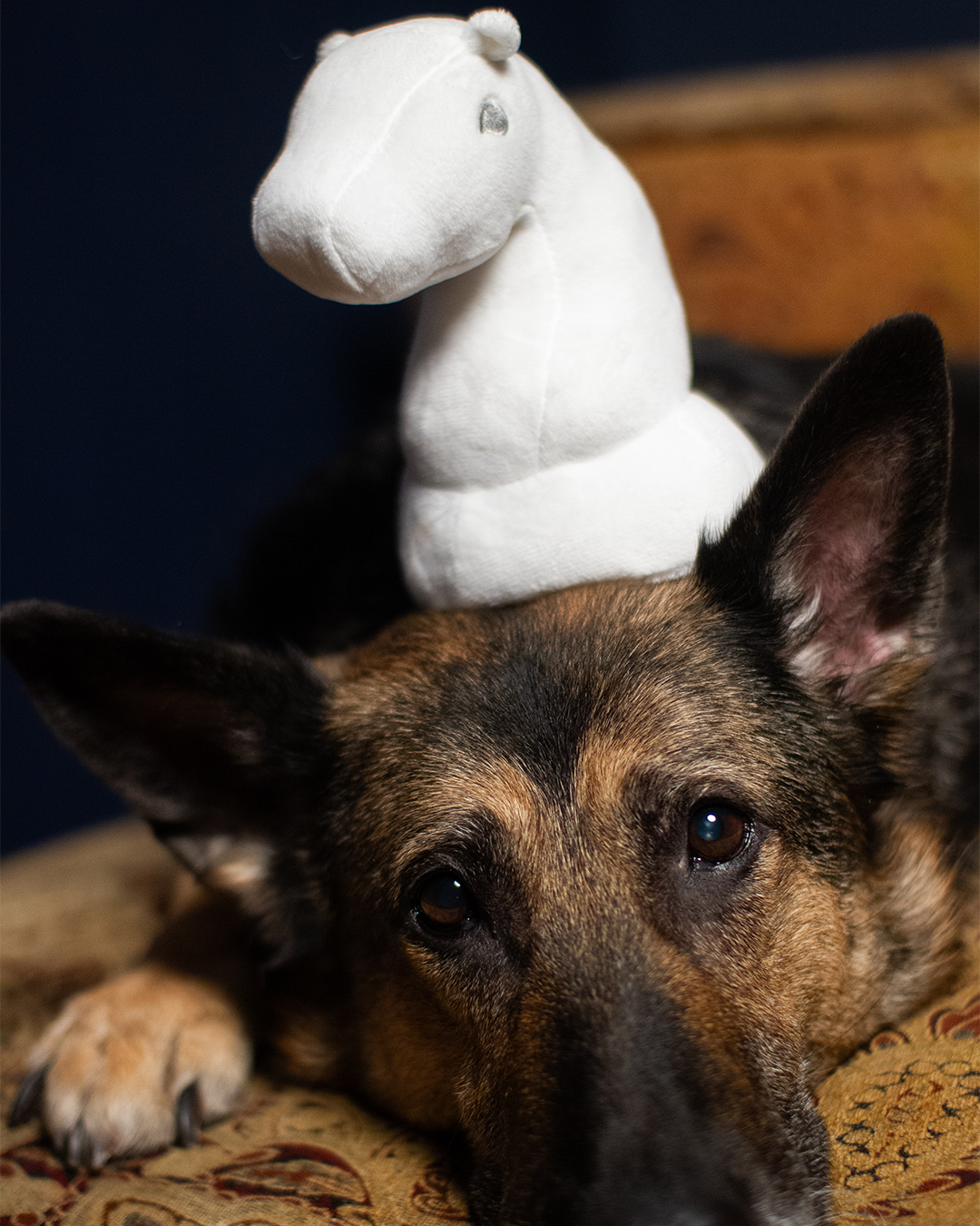 Plush White Knight Toy