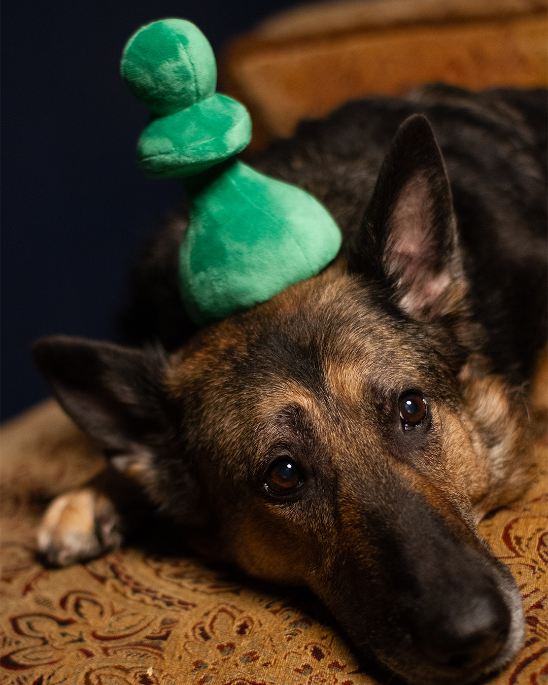 Plush Green Pawn Toy