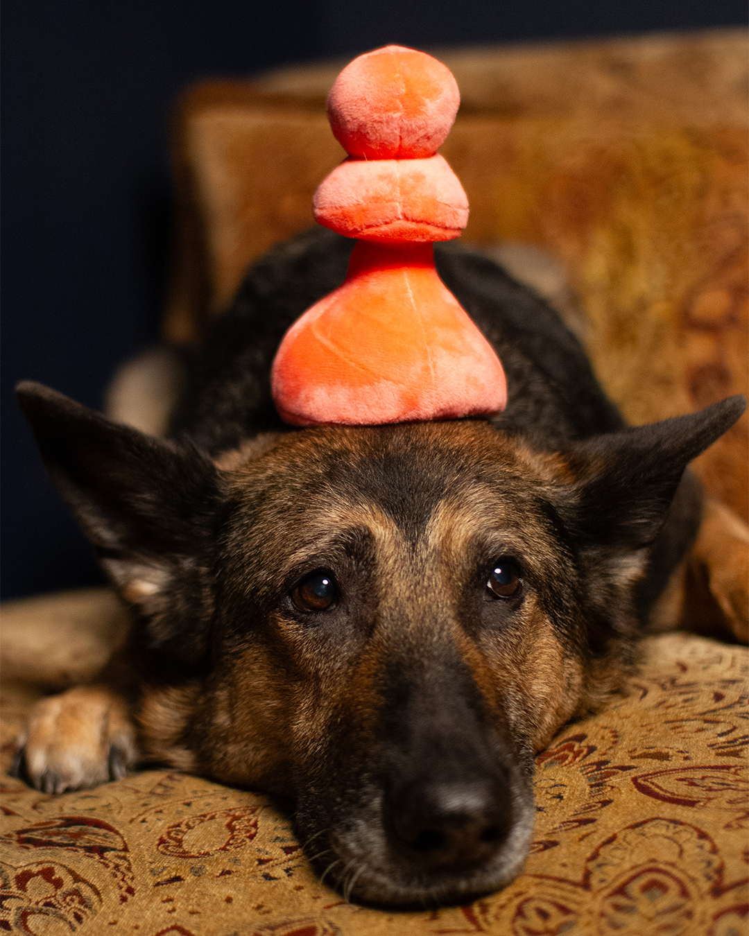 Plush Pink Pawn Toy