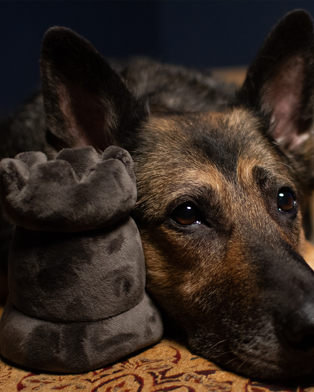 Plush Gray Rook Toy